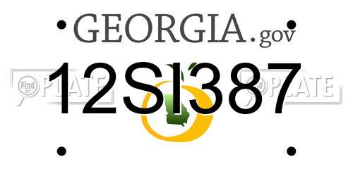 12SI387 Georgia License Plate