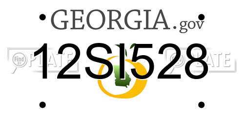 12SI528 Georgia License Plate