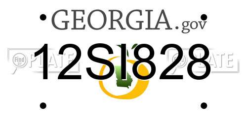 12SI828 Georgia License Plate