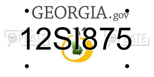 12SI875 Georgia License Plate