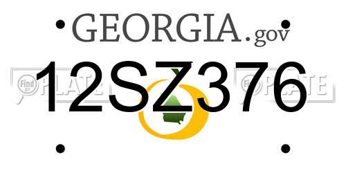 12SZ376 Georgia License Plate