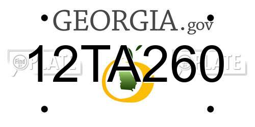 12TA260 Georgia License Plate