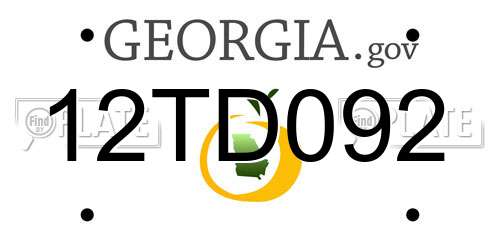 12TD092 Georgia License Plate