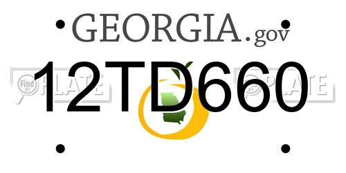 12TD660 Georgia License Plate