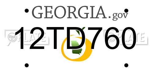 12TD760 Georgia License Plate