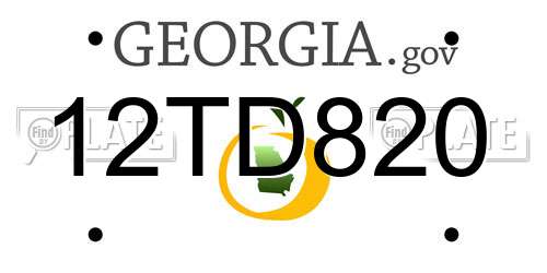 12TD820 Georgia License Plate