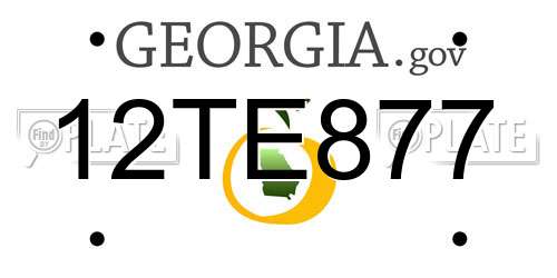 12TE877 Georgia License Plate