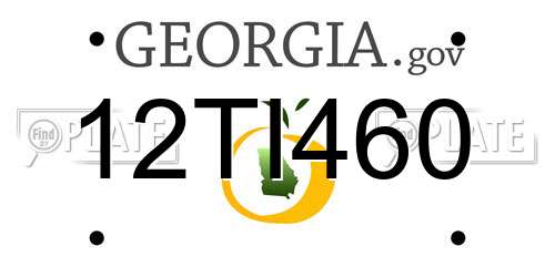 12TI460 Georgia License Plate