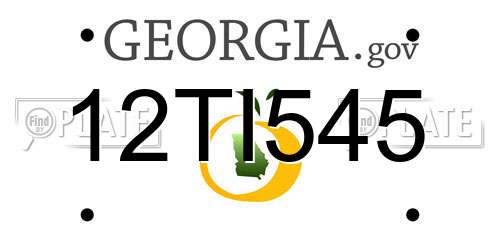 12TI545 Georgia License Plate