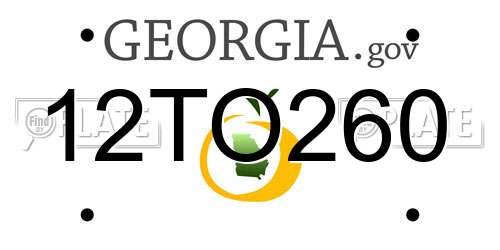12TO260 Georgia License Plate