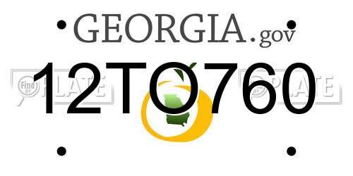 12TO760 Georgia License Plate