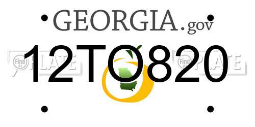 12TO820 Georgia License Plate