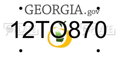 12TO870 Georgia License Plate