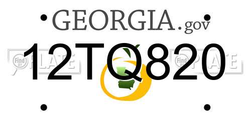 12TQ820 Georgia License Plate