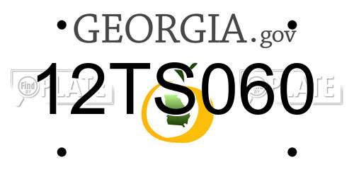 12TS060 Georgia License Plate