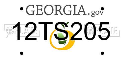12TS205 Georgia License Plate
