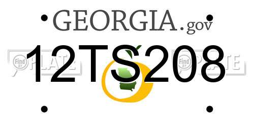 12TS208 Georgia License Plate