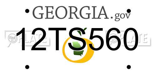 12TS560 Georgia License Plate