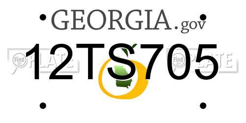 12TS705 Georgia License Plate