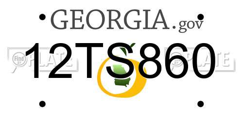 12TS860 Georgia License Plate