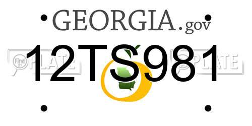 12TS981 Georgia License Plate