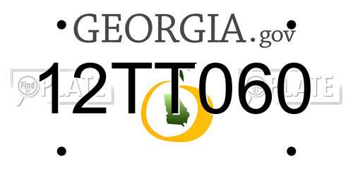 12TT060 Georgia License Plate