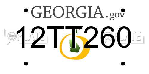 12TT260 Georgia License Plate