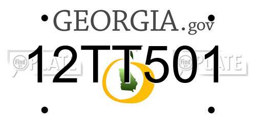 12TT501 Georgia License Plate