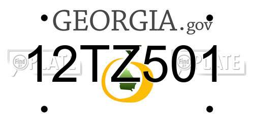 12TZ501 Georgia License Plate