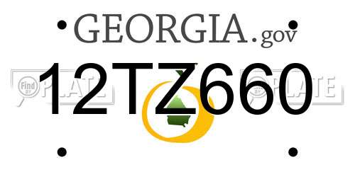 12TZ660 Georgia License Plate