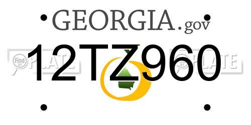 12TZ960 Georgia License Plate