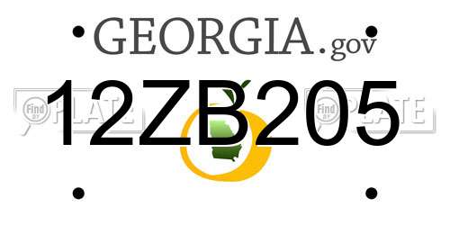 12ZB205 Georgia License Plate