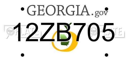 12ZB705 Georgia License Plate