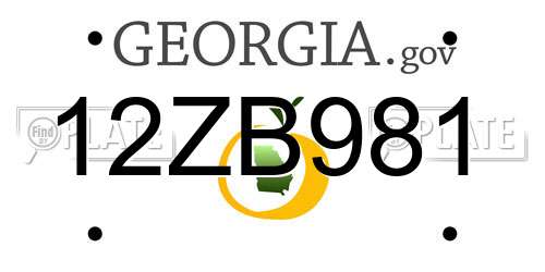 12ZB981 Georgia License Plate
