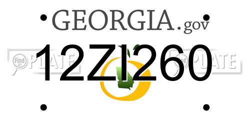 12ZI260 Georgia License Plate