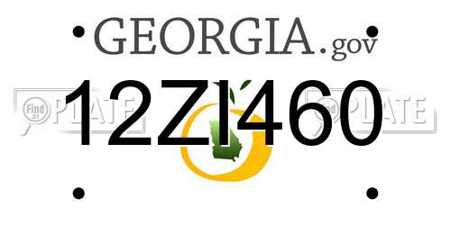12ZI460 Georgia License Plate