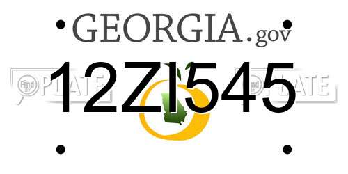 12ZI545 Georgia License Plate