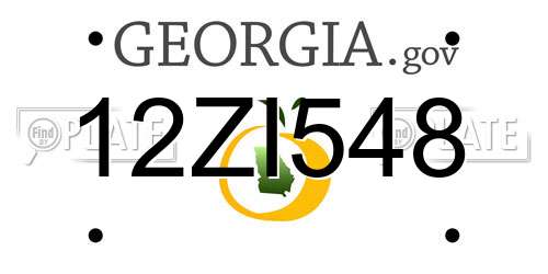 12ZI548 Georgia License Plate