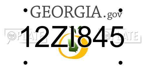 12ZI845 Georgia License Plate