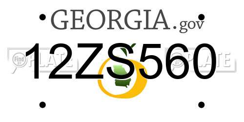 12ZS560 Georgia License Plate