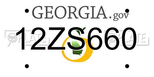 12ZS660 Georgia License Plate