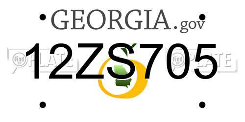 12ZS705 Georgia License Plate