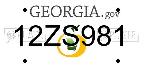 12ZS981 Georgia License Plate