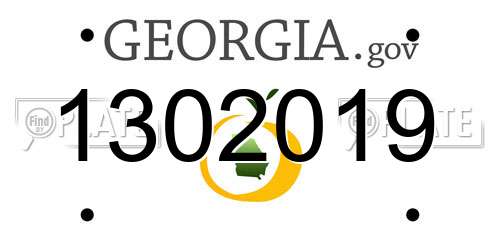 1302019 Georgia License Plate