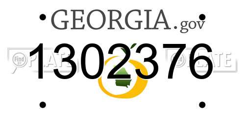 1302376 Georgia License Plate