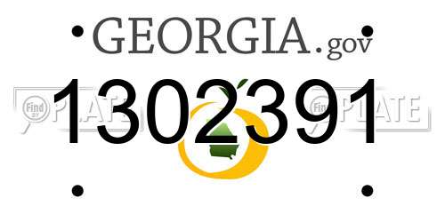 1302391 Georgia License Plate