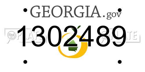 1302489 Georgia License Plate