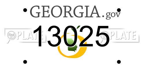 13025 Georgia License Plate