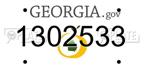 1302533 Georgia License Plate