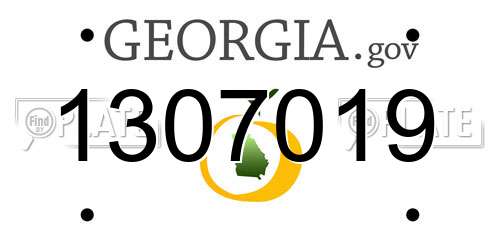 1307019 Georgia License Plate